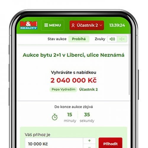Aukce - nástroj pro obchodníky s nemovitostmi