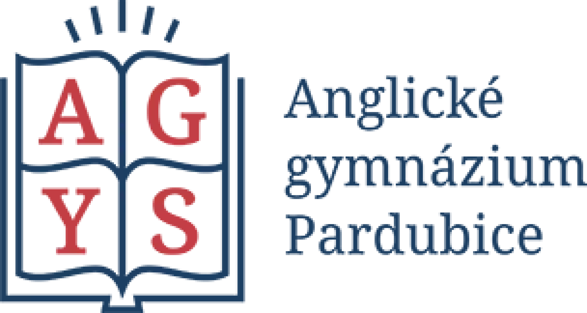 Agys logo 01